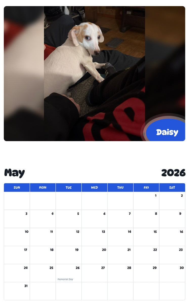 2026 - 2027 Daisy - Pawidols Pet Calendar