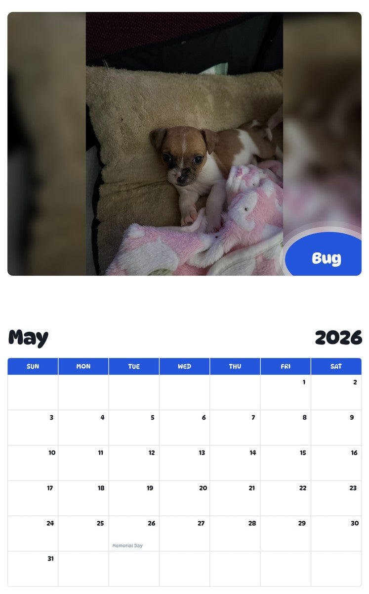 2026 - 2027 Bug - Pawidols Pet Calendar