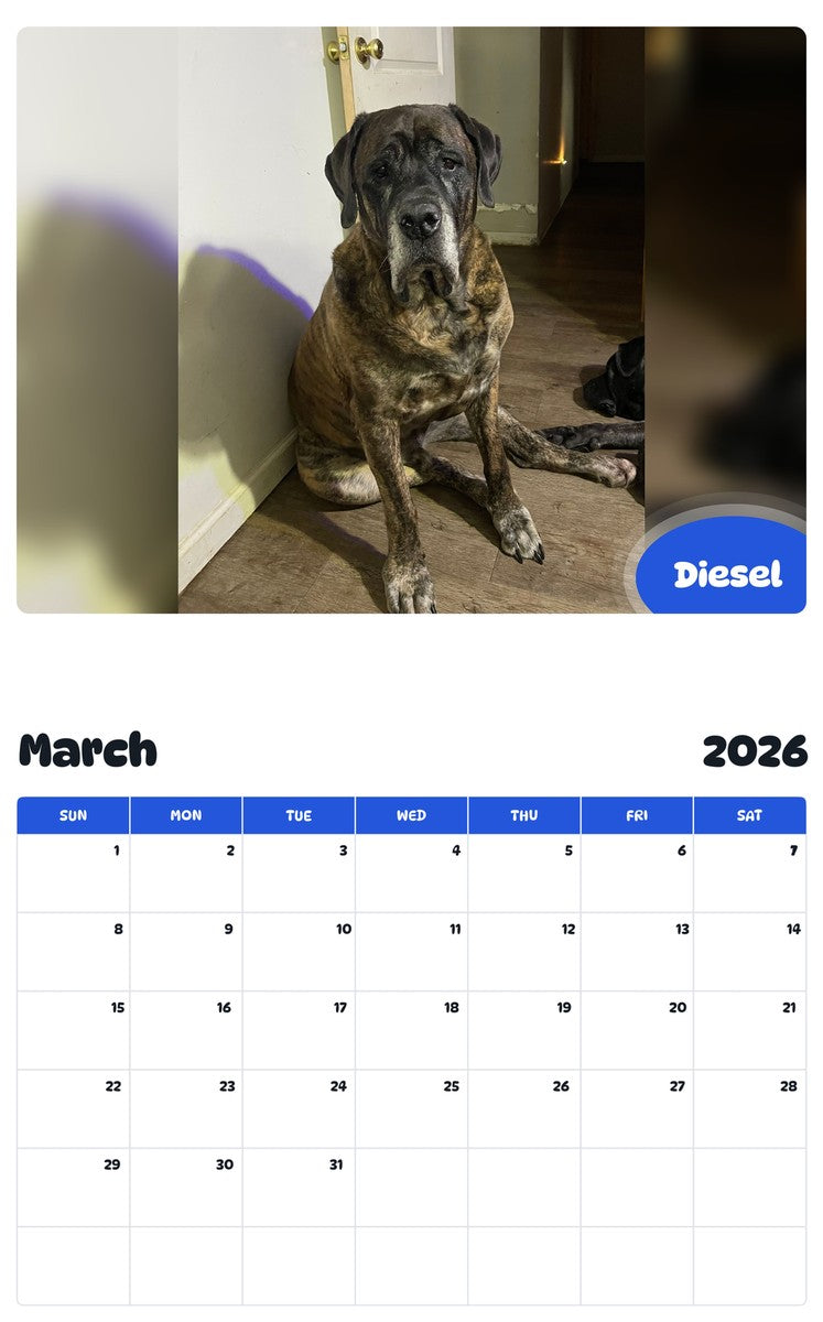 November 2025 - October 2026 Diesel - Pawidols Pet Calendar