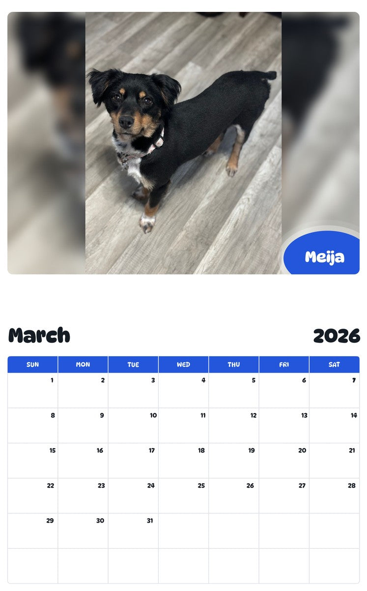 November 2025 - October 2026 Meija - Pawidols Pet Calendar