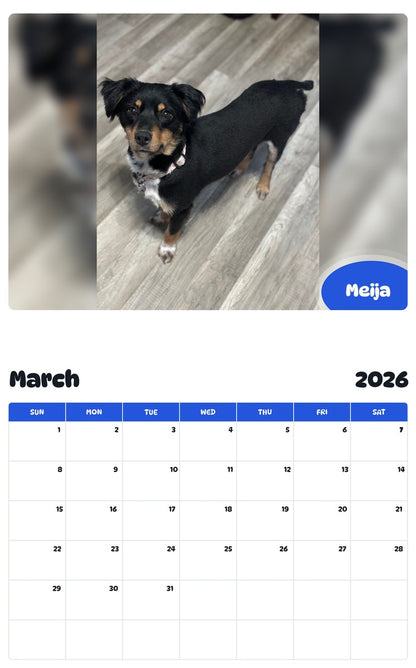 November 2025 - October 2026 Meija - Pawidols Pet Calendar