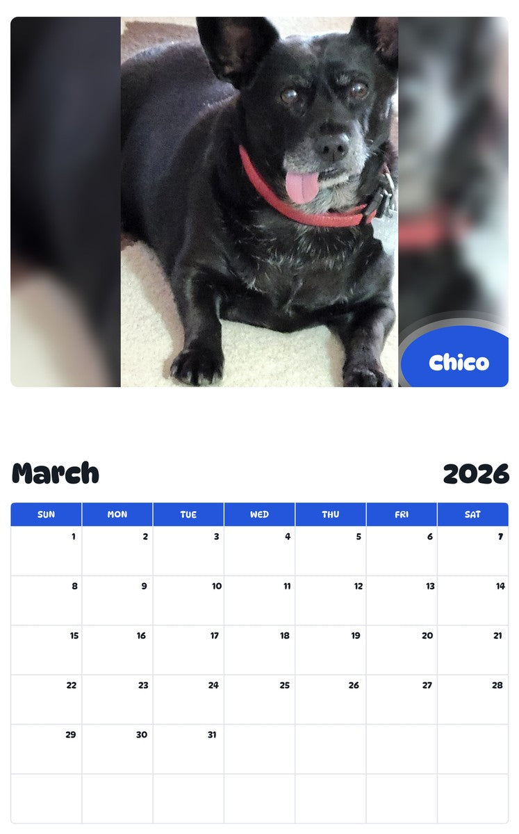 November 2025 - October 2026 Chico - Pawidols Pet Calendar