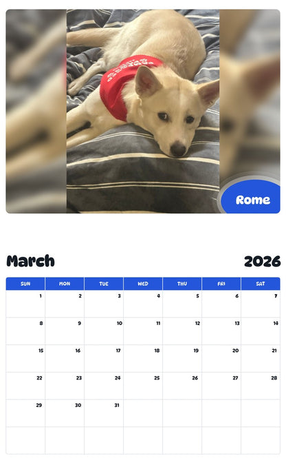November 2025 - October 2026 Rome - Pawidols Pet Calendar
