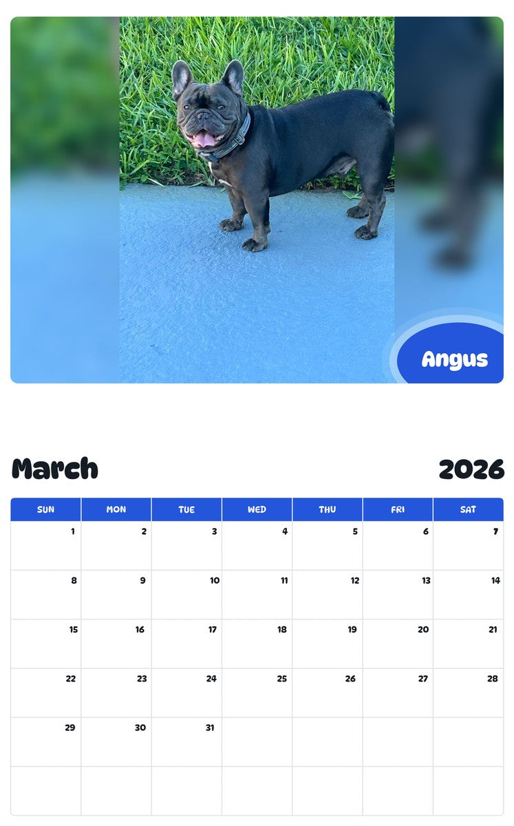 November 2025 - October 2026 Angus - Pawidols Pet Calendar