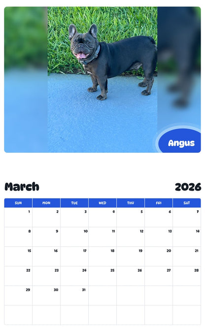 November 2025 - October 2026 Angus - Pawidols Pet Calendar