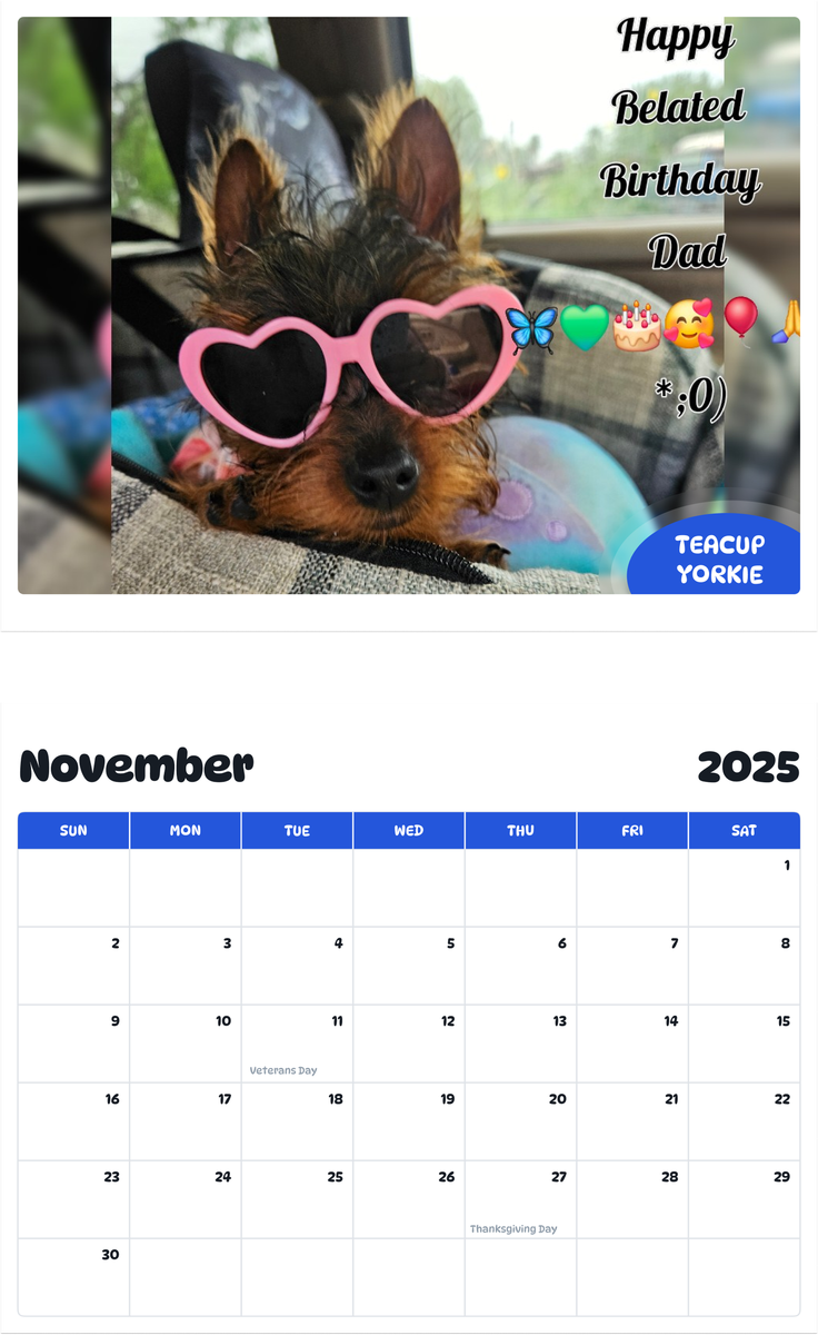 July 2025 - June 2026 Teacup Yorkie - Pawidols Pet Calendar