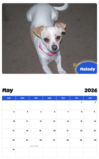 2026 - 2027 Melody - Pawidols Pet Calendar