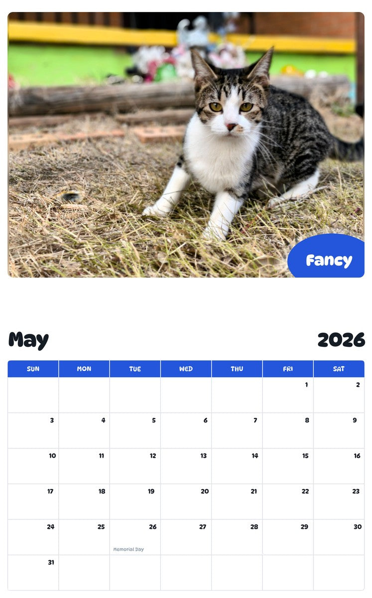 2026 - 2027 Fancy - Pawidols Pet Calendar