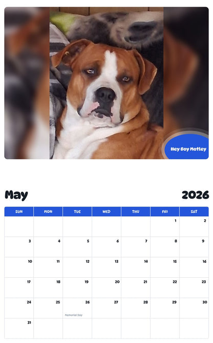 2026 - 2027 Hey Boy Motley - Pawidols Pet Calendar