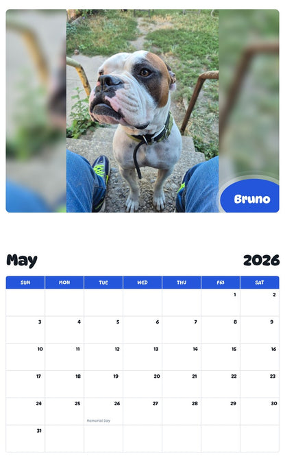2026 - 2027 Bruno - Pawidols Pet Calendar