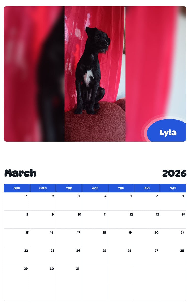 November 2025 - October 2026 Lyla - Pawidols Pet Calendar