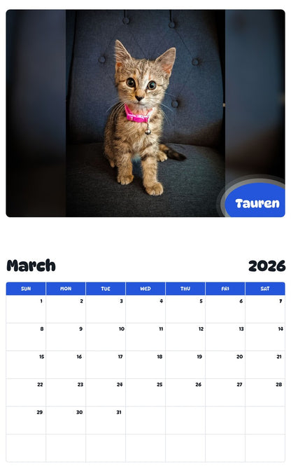 November 2025 - October 2026 Tauren - Pawidols Pet Calendar