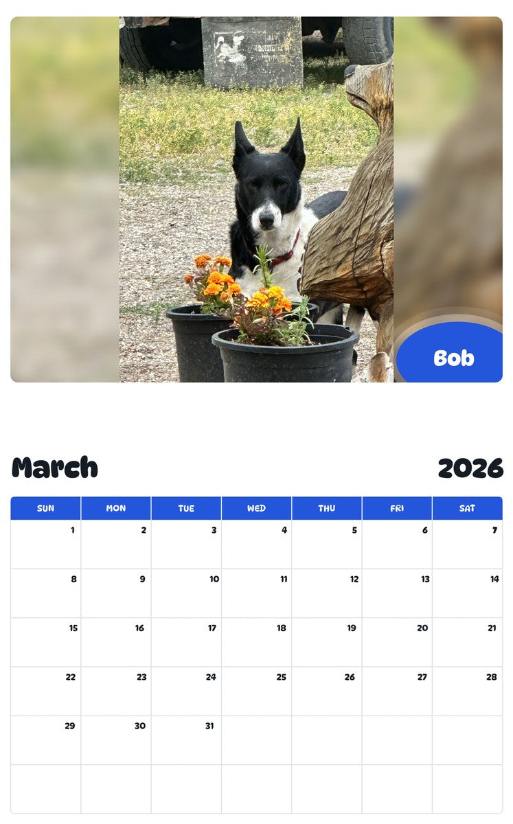 November 2025 - October 2026 Bob - Pawidols Pet Calendar