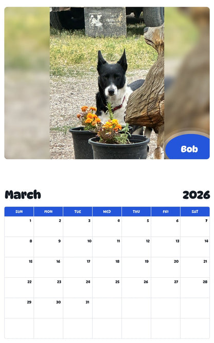 November 2025 - October 2026 Bob - Pawidols Pet Calendar
