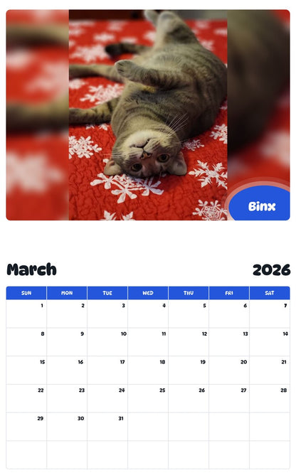 November 2025 - October 2026 Binx - Pawidols Pet Calendar
