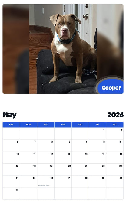 2026 - 2027 Cooper - Pawidols Pet Calendar