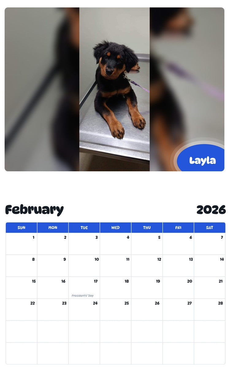 October 2025 - September 2026 Layla - Pawidols Pet Calendar