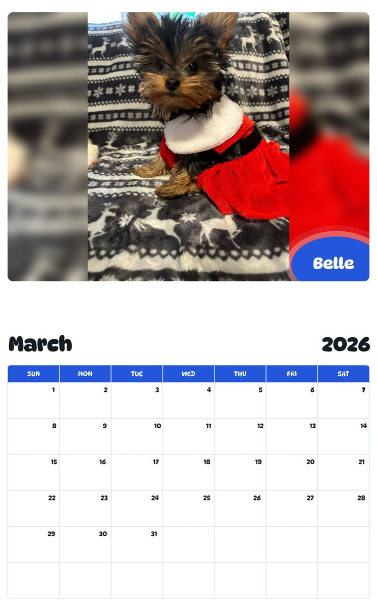 November 2025 - October 2026 Belle - Pawidols Pet Calendar