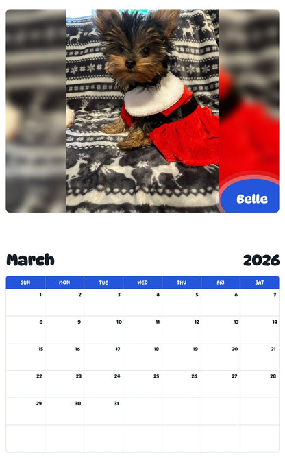 November 2025 - October 2026 Belle - Pawidols Pet Calendar