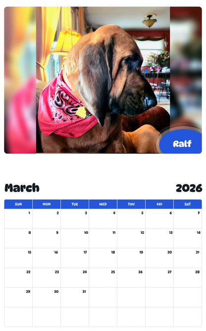 November 2025 - October 2026 Ralf - Pawidols Pet Calendar
