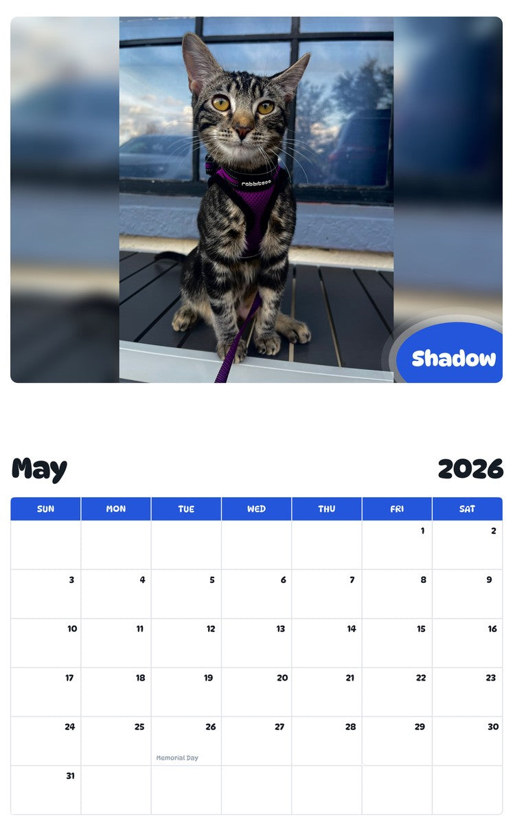 2026 - 2027 Shadow - Pawidols Pet Calendar