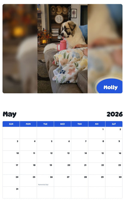2026 - 2027 Molly - Pawidols Pet Calendar