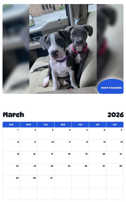 November 2025 - October 2026 Groot & Izzybella - Pawidols Pet Calendar