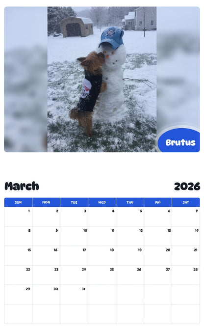 November 2025 - October 2026 Brutus - Pawidols Pet Calendar