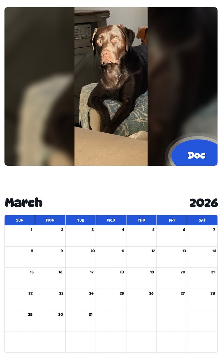 November 2025 - October 2026 Doc - Pawidols Pet Calendar