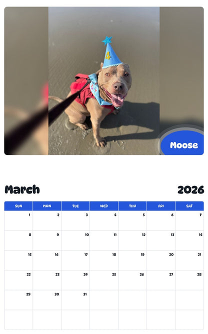 November 2025 - October 2026 Moose - Pawidols Pet Calendar