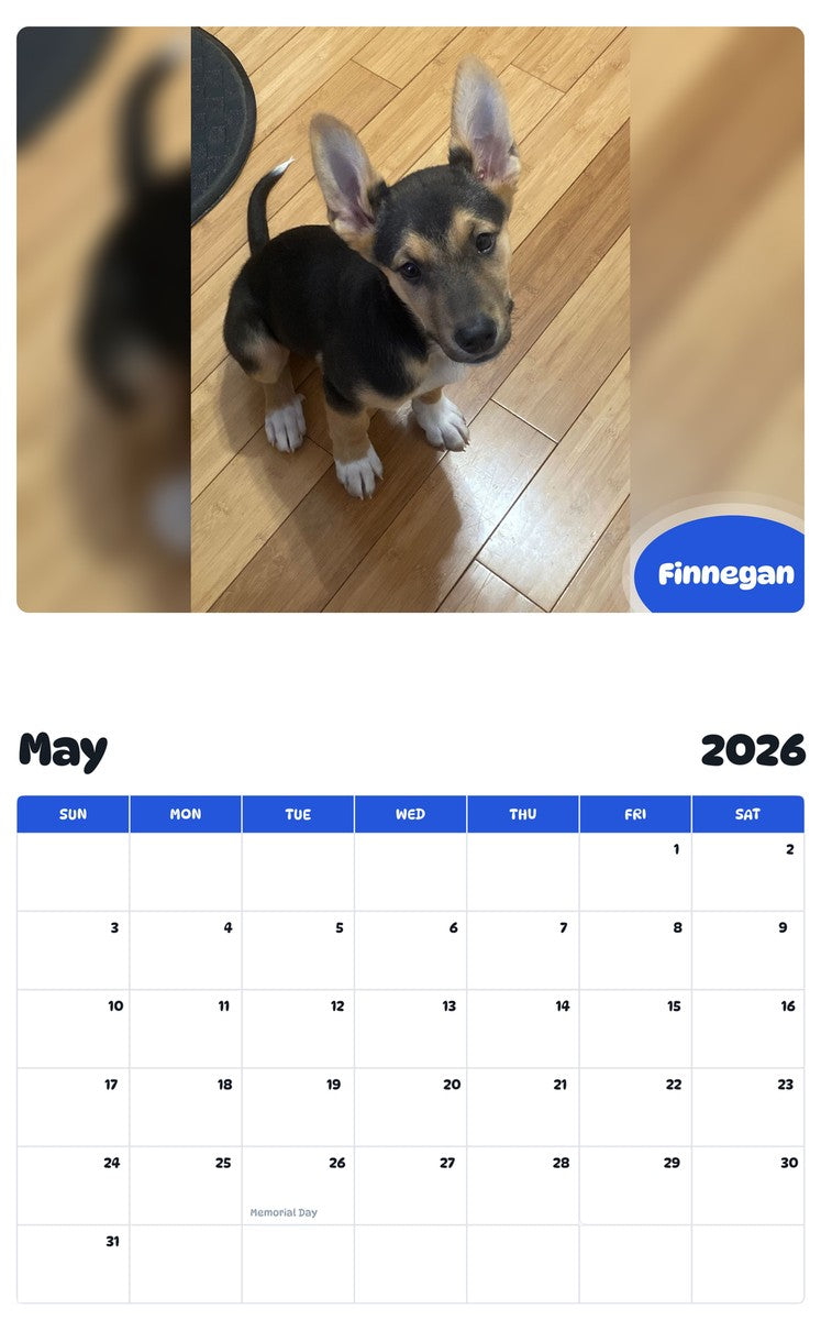 2026 - 2027 Finnegan - Pawidols Pet Calendar