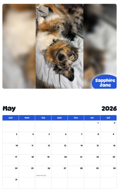 2026 - 2027 Sapphire Jane - Pawidols Pet Calendar