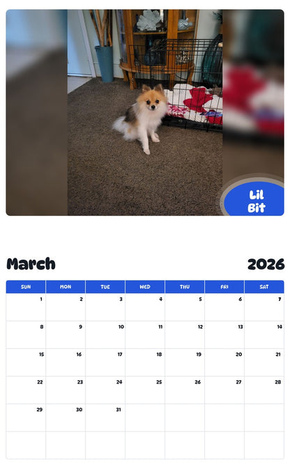 November 2025 - October 2026 Lil Bit - Pawidols Pet Calendar