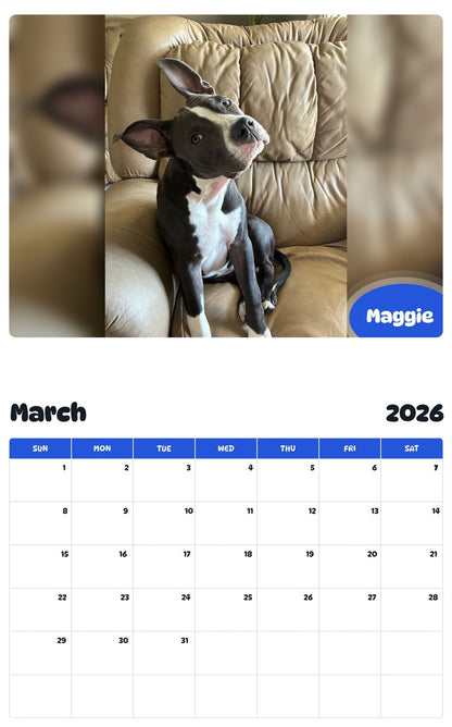 November 2025 - October 2026 Maggie - Pawidols Pet Calendar