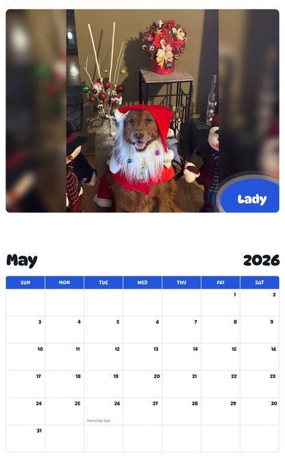 2026 - 2027 Lady - Pawidols Pet Calendar