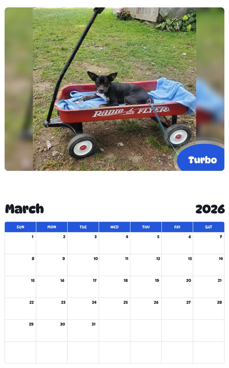 November 2025 - October 2026 Turbo - Pawidols Pet Calendar