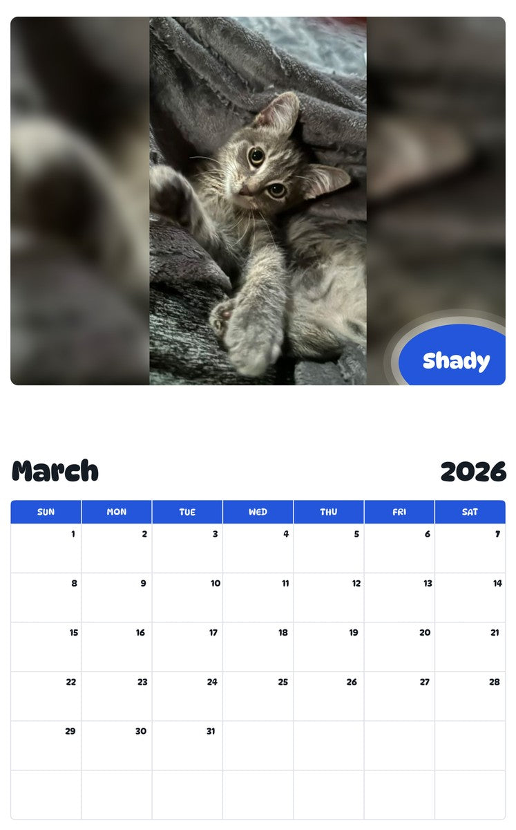 November 2025 - October 2026 Shady - Pawidols Pet Calendar