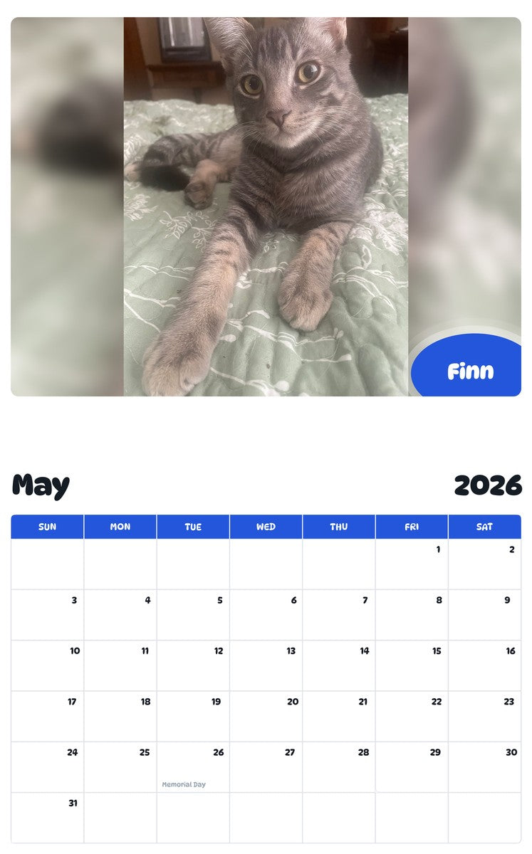 2026 - 2027 Finn - Pawidols Pet Calendar