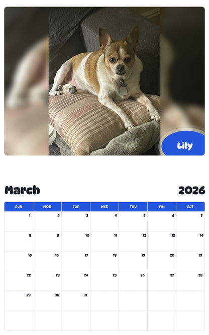 November 2025 - October 2026 Lily - Pawidols Pet Calendar