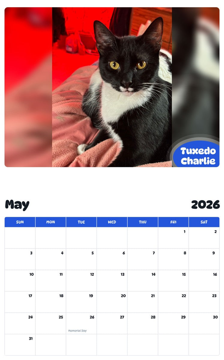 2026 - 2027 Tuxedo Charlie - Pawidols Pet Calendar