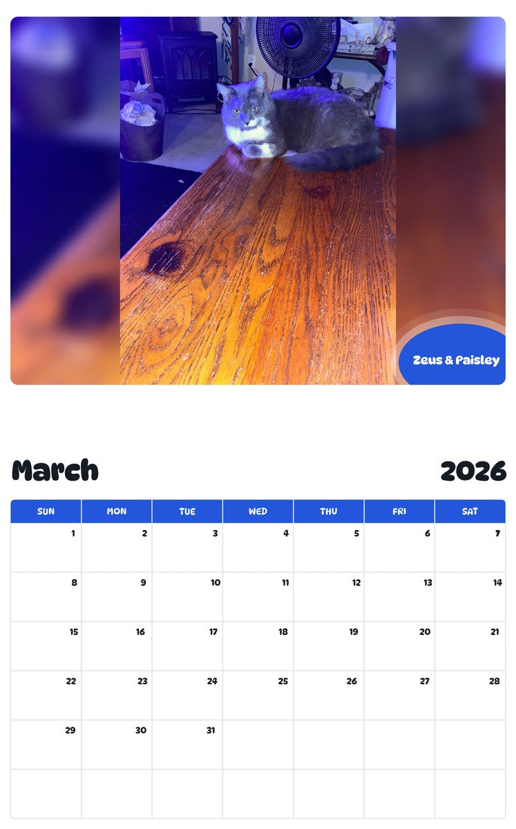 November 2025 - October 2026 Zeus & Paisley - Pawidols Pet Calendar