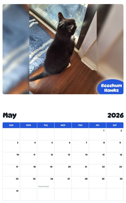 2026 - 2027 Beechum Hawks - Pawidols Pet Calendar