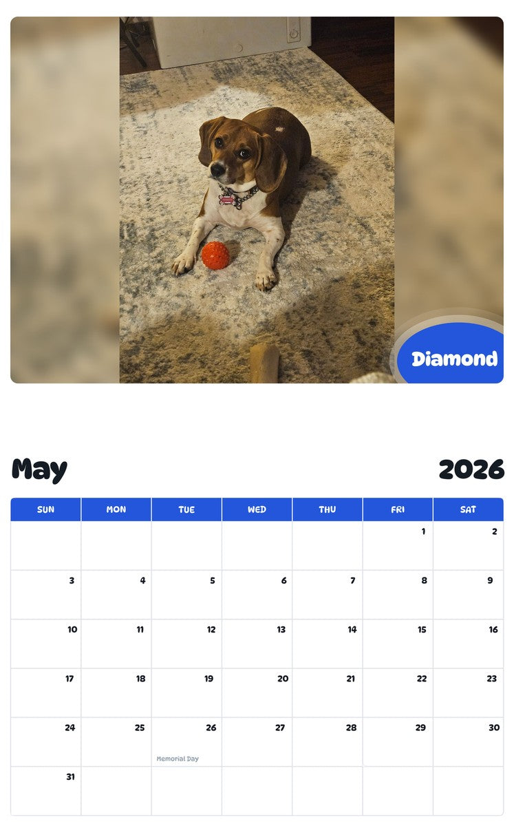 2026 - 2027 Diamond - Pawidols Pet Calendar