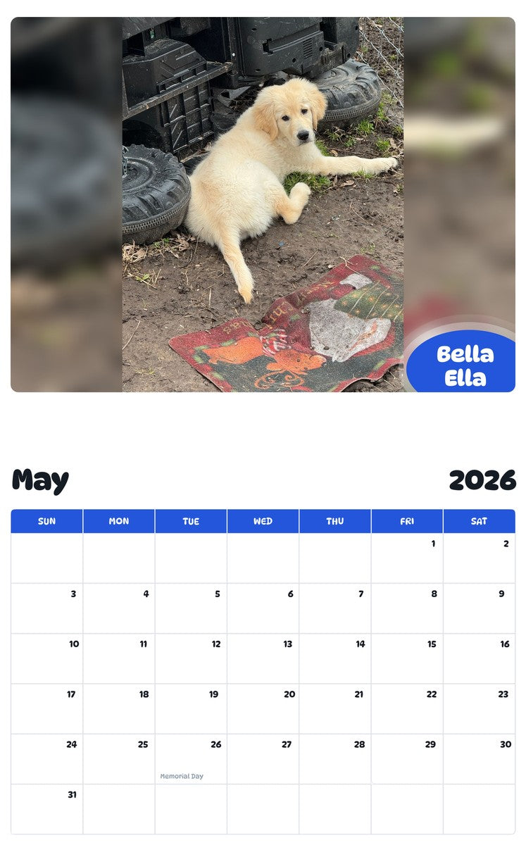 2026 - 2027 Bella Ella - Pawidols Pet Calendar