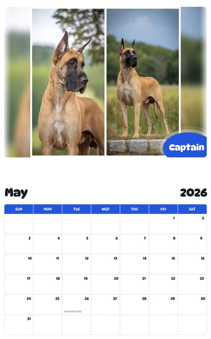 2026 - 2027 Captain - Pawidols Pet Calendar