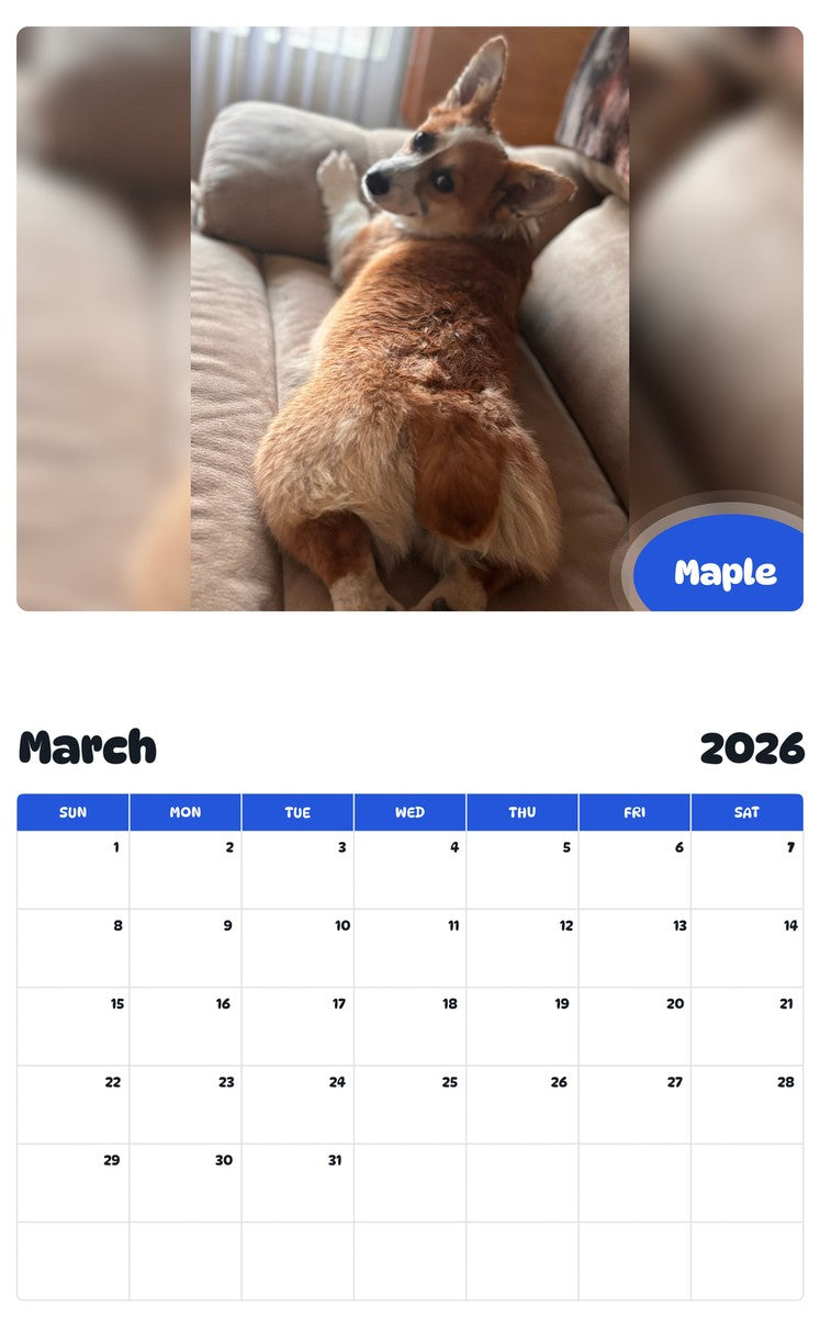 November 2025 - October 2026 Maple - Pawidols Pet Calendar