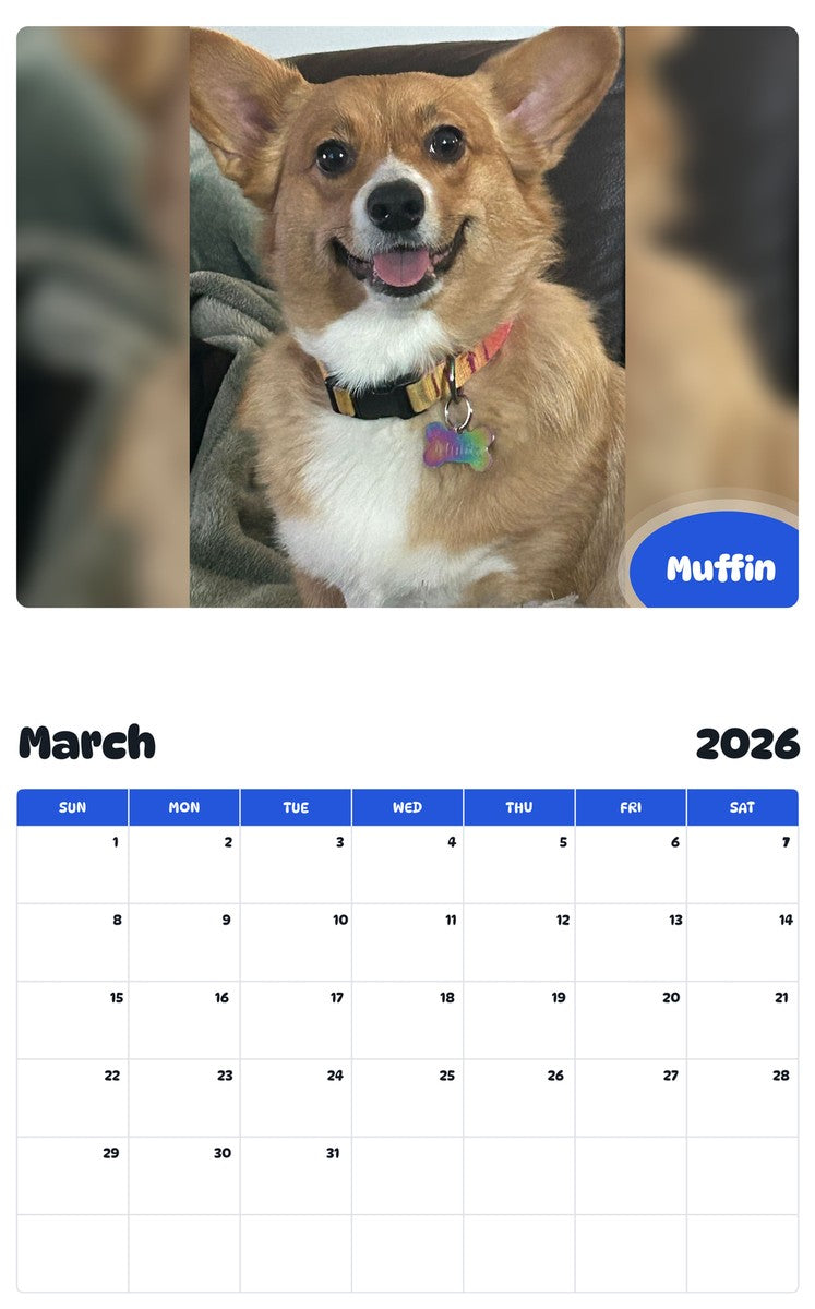 November 2025 - October 2026 Muffin - Pawidols Pet Calendar
