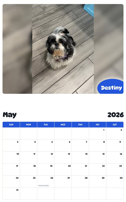 2026 - 2027 Destiny - Pawidols Pet Calendar