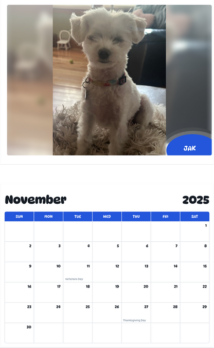 July 2025 - June 2026 Jak - Pawidols Pet Calendar