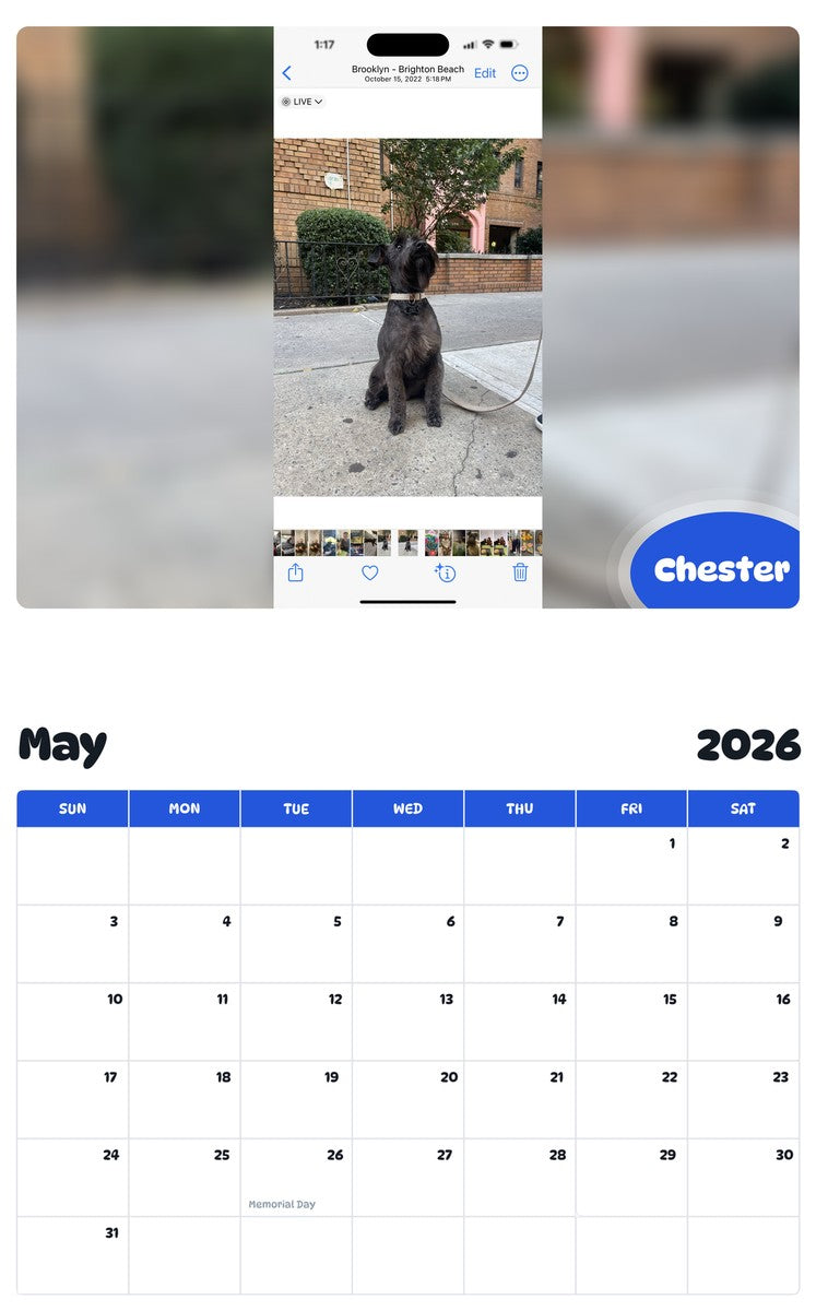 2026 - 2027 Chester - Pawidols Pet Calendar